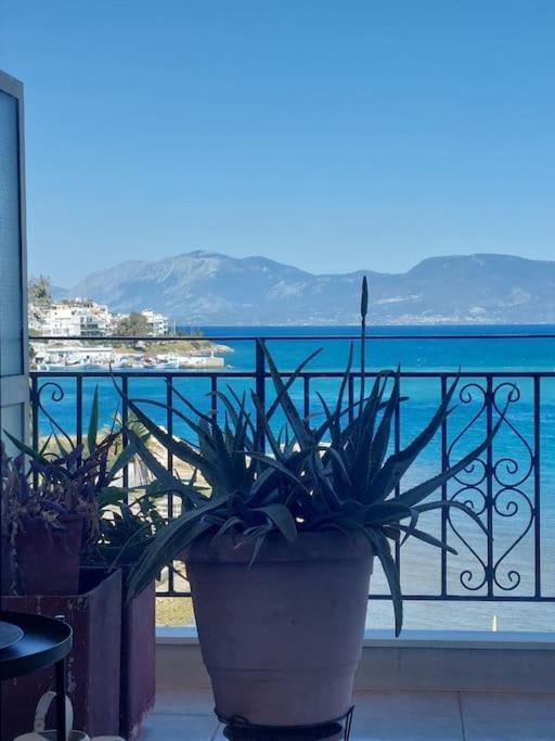 Bright Central Apartment With Splendid Sea View! Χαλκίδα Εξωτερικό φωτογραφία